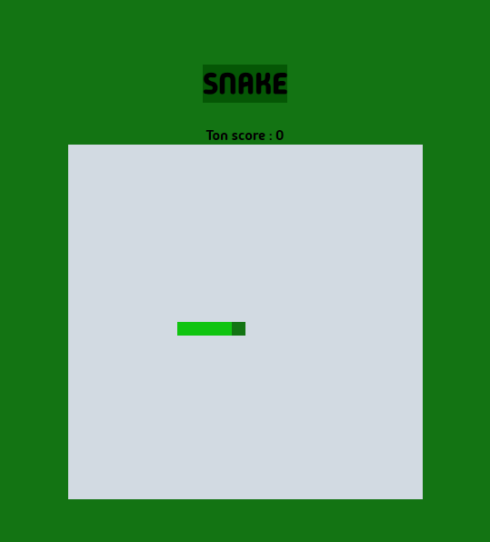 image du projet snake